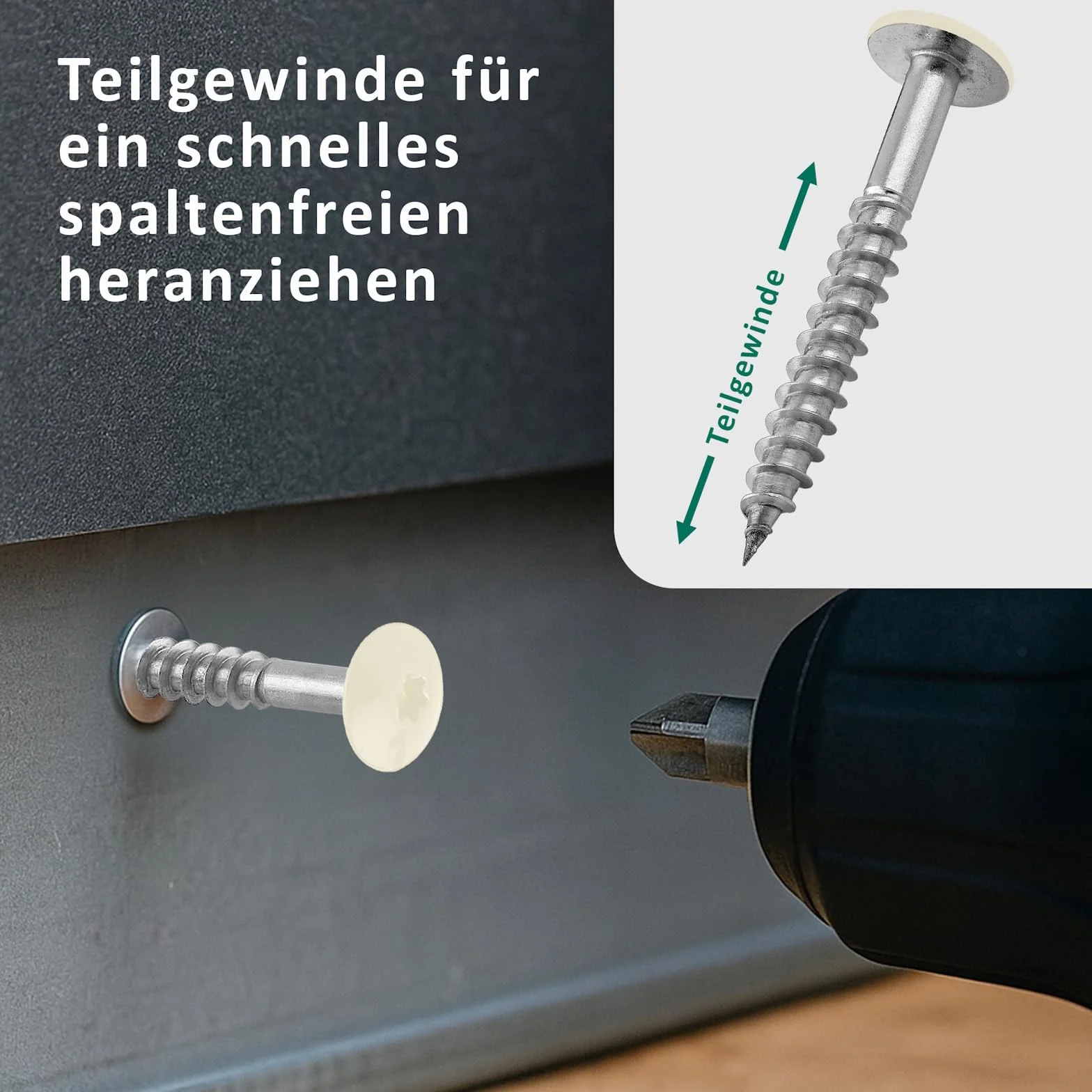 DSM | Śruby elewacyjne Trespo 4,8 x 25 mm | perłowo-białe RAL 1013 | stal nierdzewna A2 | płaska okrągła główka z napędem TX | samogwintujące i odporne na korozję | wkręty do drewna do płyt HPL | 50