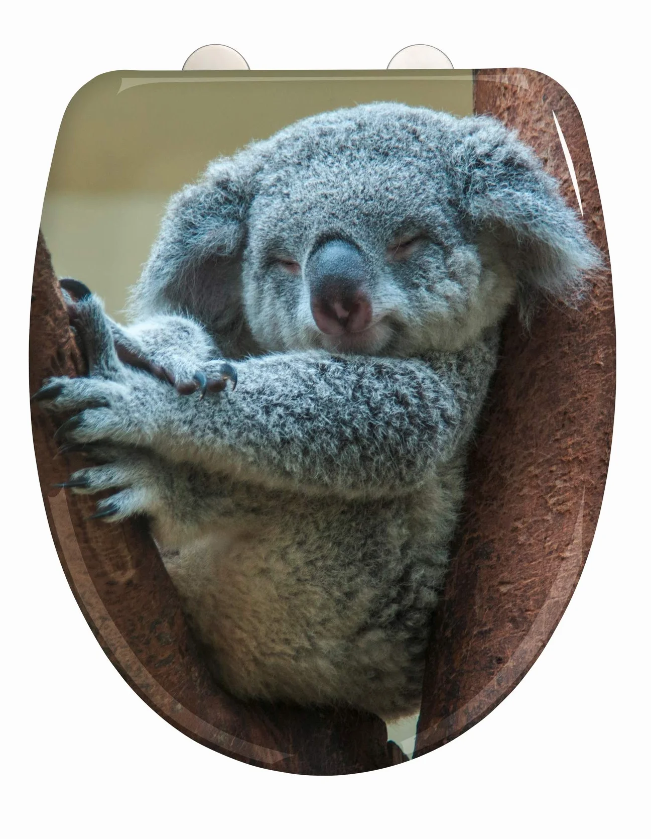 WENKO Deska sedesowa Koala, higieniczna deska sedesowa wolnoopadająca, deska sedesowa z odpornego na pękanie, antybakteryjnego duroplastu, mocowanie ze stali nierdzewnej, 38 x 45 cm, motyw koala